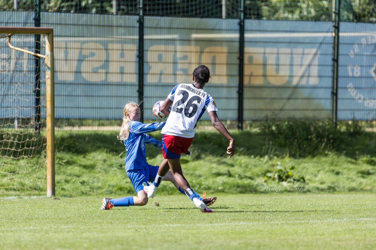 Bild 433 - wBJ Hamburger SV - VfL Wolfsburg : Ergebnis: 5:1